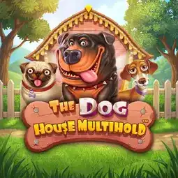 The Dog House Multihold game at Incognito Casino for United Kingdom players